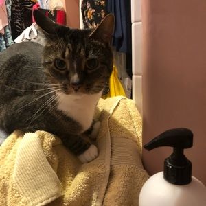 Meet your Posher, Eva